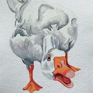 Meet your Posher, Mel